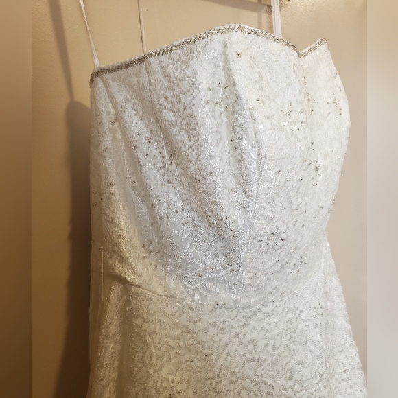 David's Bridal Wedding Dress, Size 16W - Picture 5 of 12